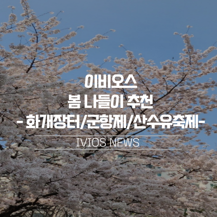  "봄이 왔다" 봄나들이 가기 좋은 3월, 국내 봄꽃 축제 TOP3 추천 (feat. 이비오스 슈젠)