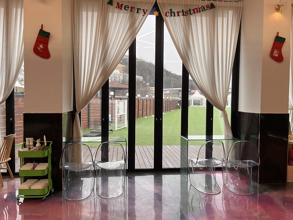 레오나르독 사진 4