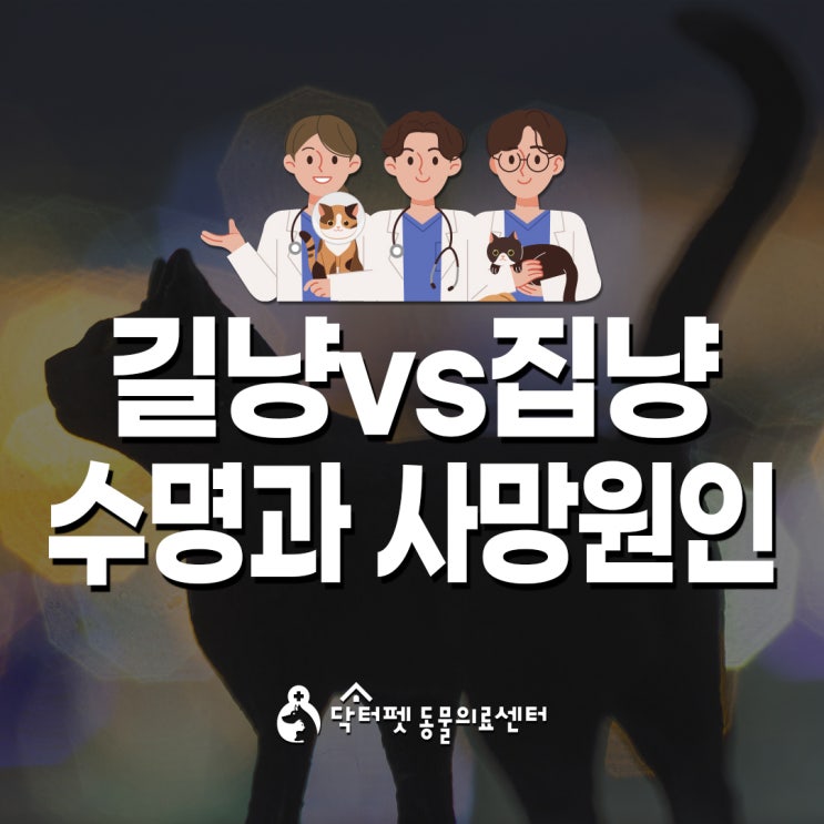  길냥이vs집냥이 수명과 사망원인 차이 (부산 고양이 친화병원 닥터펫동물의료센터)