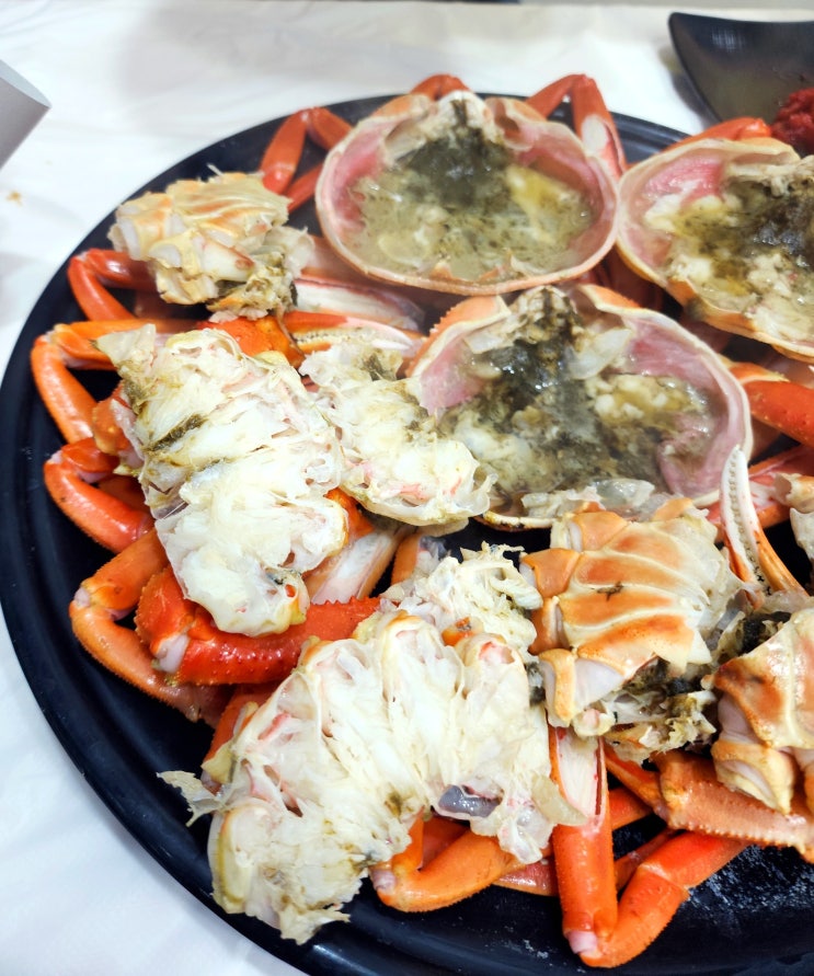  속초 대포항 맛집 속초 대게 맛집 대포횟집