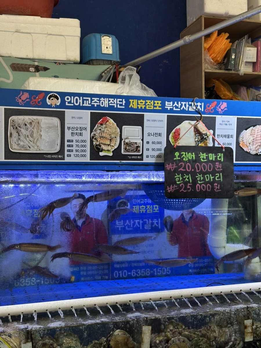 모세골황토방펜션 사진 4