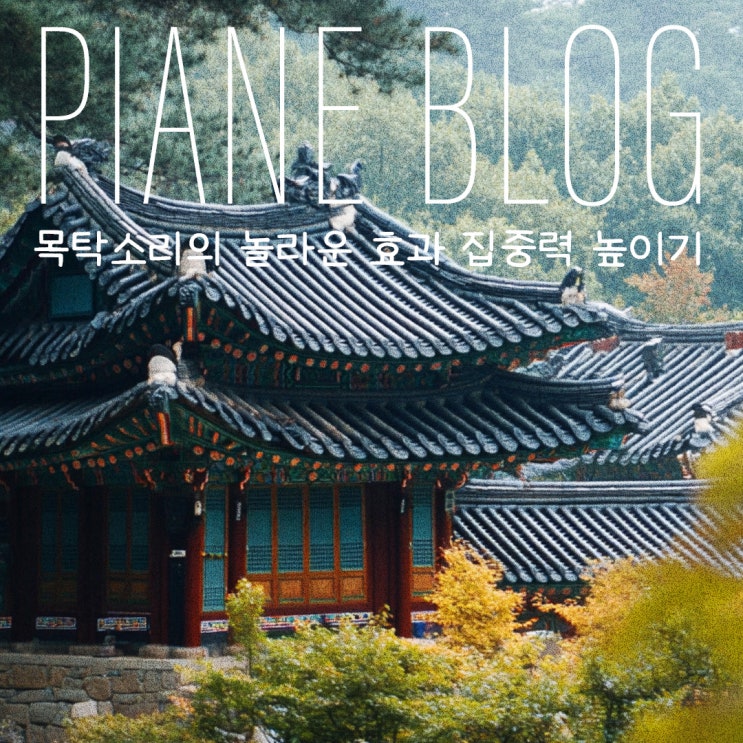  목탁소리 명상 ASMR의 놀라운 효과! 명상과 집중력을 높이는 비결