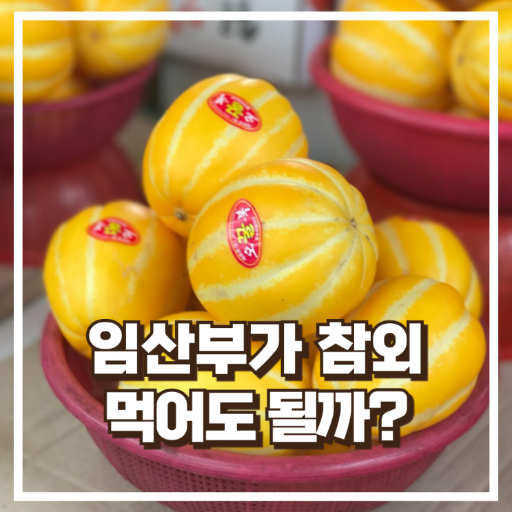  임산부가 참외를 먹어도 될까? 효능과 주의사항 총정리
