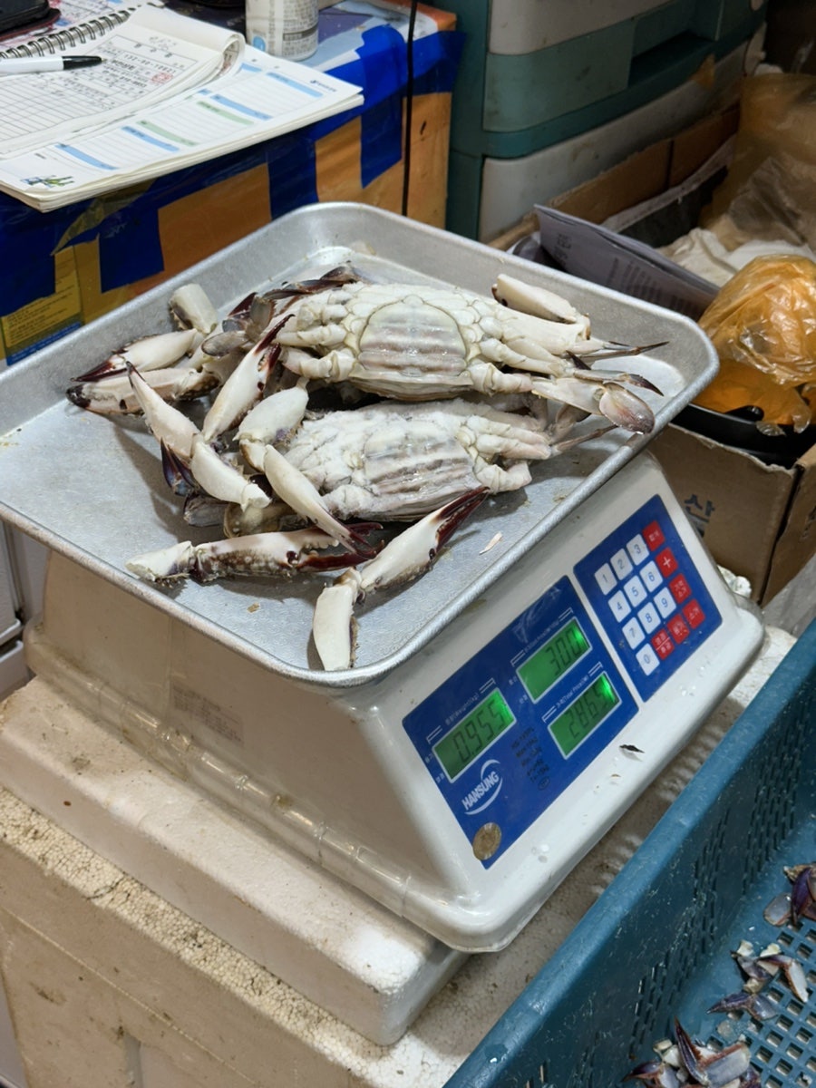모세골황토방펜션 사진 6