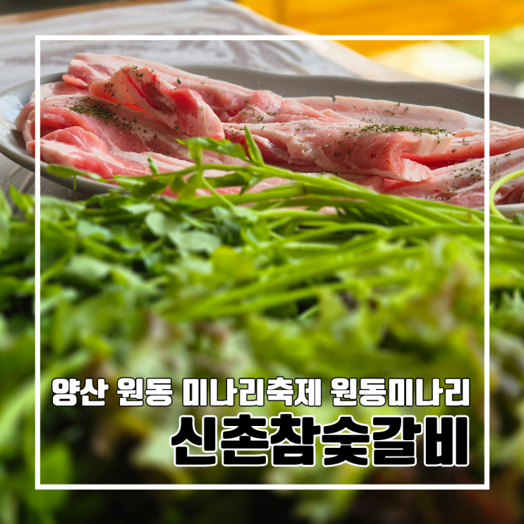 2025 양산 원동 미나리 축제 원동미나리 신촌참숯갈비 l 주차 단체 예약 웨이팅 6시 내고향