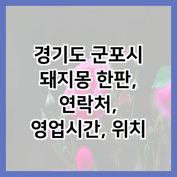 돼지몽한판 사진 1