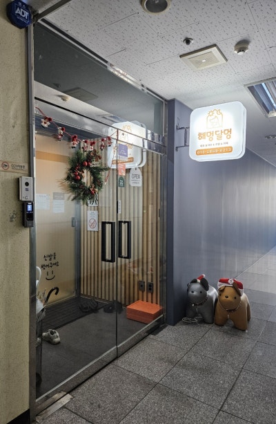 사진 2