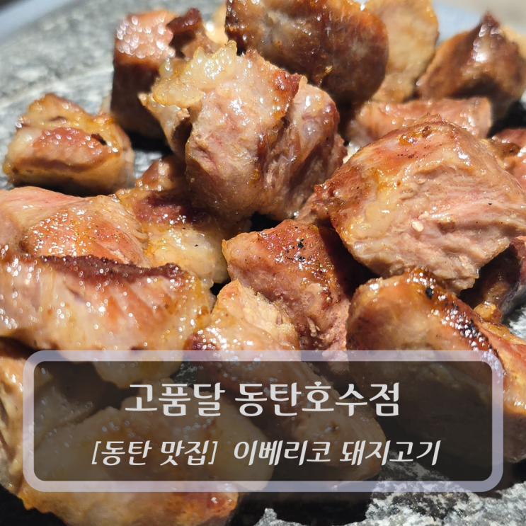  동탄호수공원 맛집 :: 고품달 동탄호수점 - 동탄 고기집