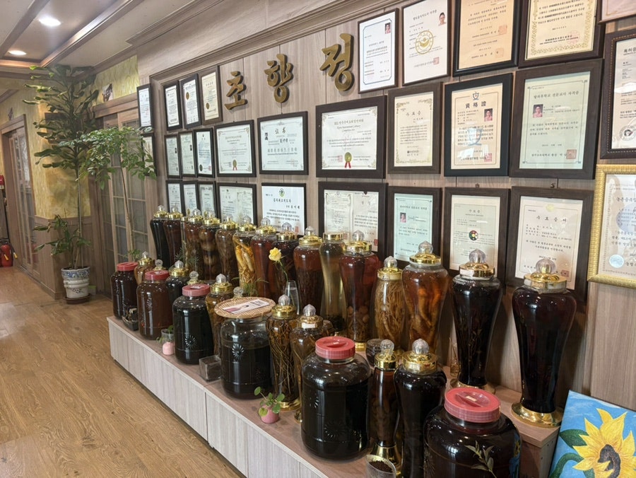 초향정 사진 2