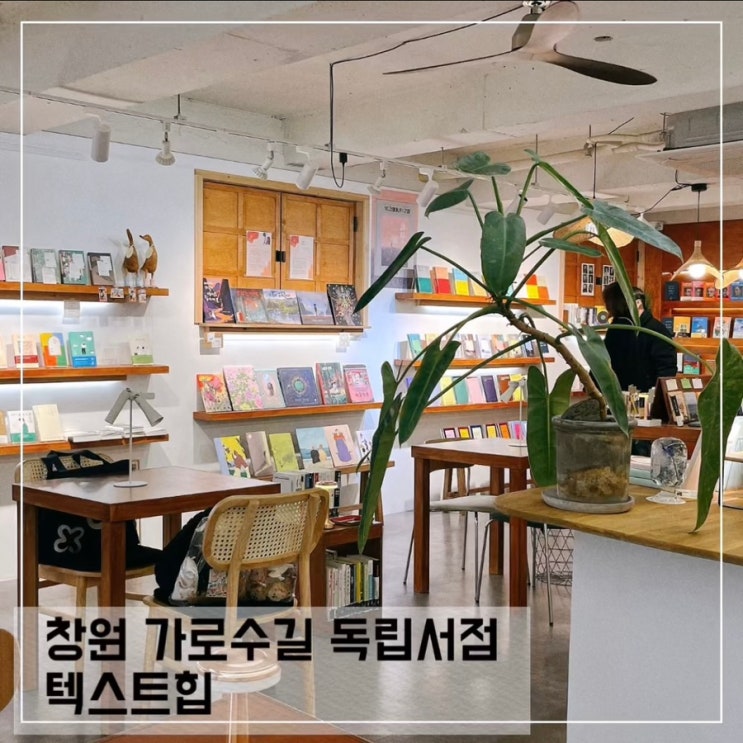  창원 가로수길 독립서점 텍스트힙; 가로수길 데이트 놀거리 추천