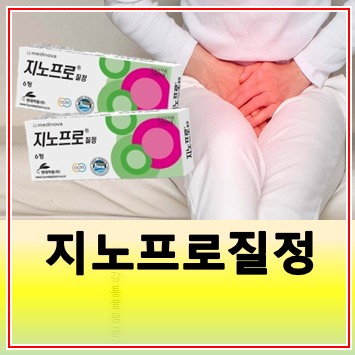 지노프로질정 효과 부작용 사용법 유산균 질염 치료