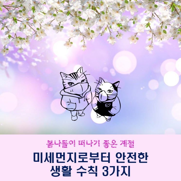  ⑫봄철 미세먼지로부터 안전한 생활수칙