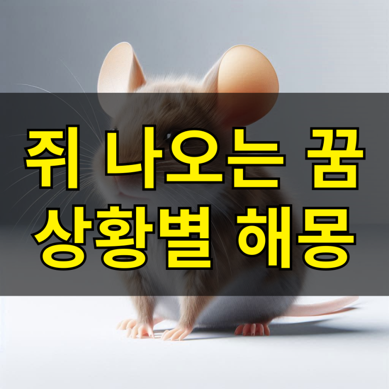 쥐꿈 해몽 집에 쥐 나오는 꿈 쥐잡는꿈 해석하기