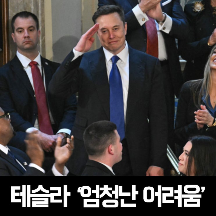 일론 <b>머스크</b>, <b>테슬라 주가 폭락</b>에 DOGE와 CEO 직책을 동시에... 