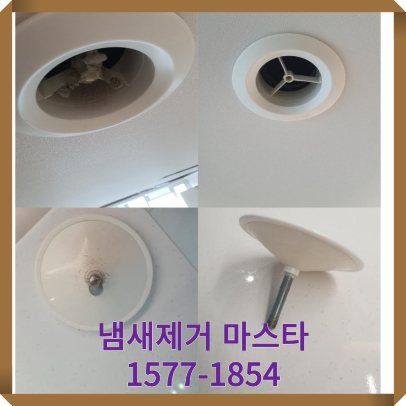 부산에서 효과적인 고양이냄새 제거 업체 추천