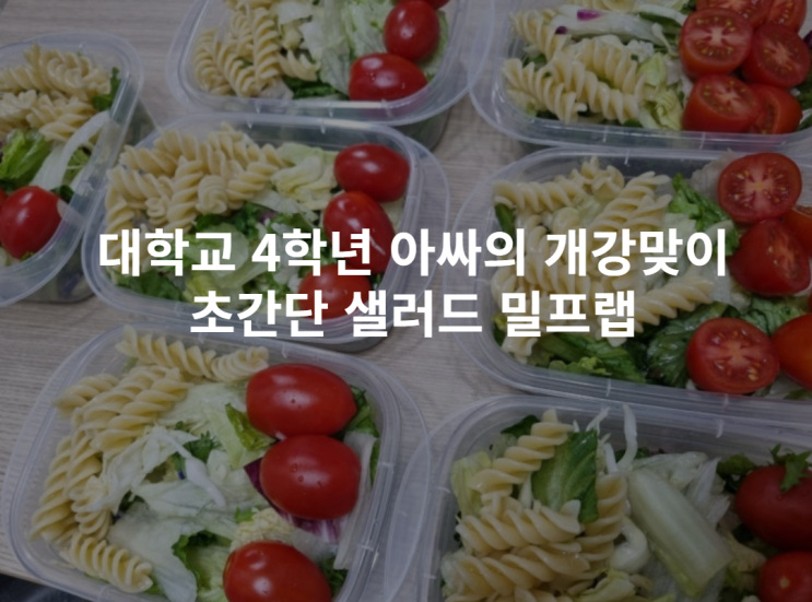  대학교 4학년 아싸의 개강맞이 초간단 샐러드 밀프랩 | 준비물 가격 꿀팁 첫후기