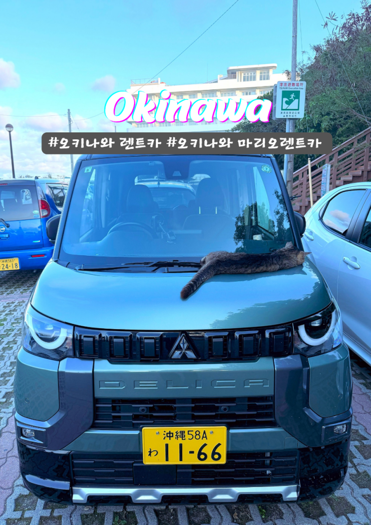  오키나와 렌트카 여행 마리오렌트카 추천 후기