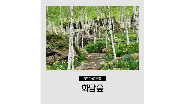  화담숲 예약 방법부터 봄 나들이 꽃구경까지 경기도 광주 가볼만한곳