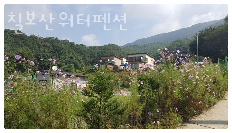 칠보산워터펜션 사진 5
