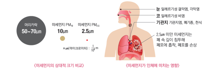  보이지 않는 위협, 미세먼지 안전 수칙과 대처법