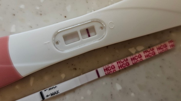  [난임일기] 시험관2차 3일배양 동결배아 3개 이식 후 이식 당일 부터 6일차 증상 총정리(임테기가 두줄?! )
