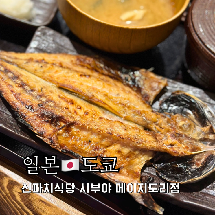 도쿄 가성비 맛집 생선구이 정식 신파치식당 시부야 메이지도리점 도쿄 가성비 맛집 생선구이 정식 신파치식당 시부야 메이지도리점
