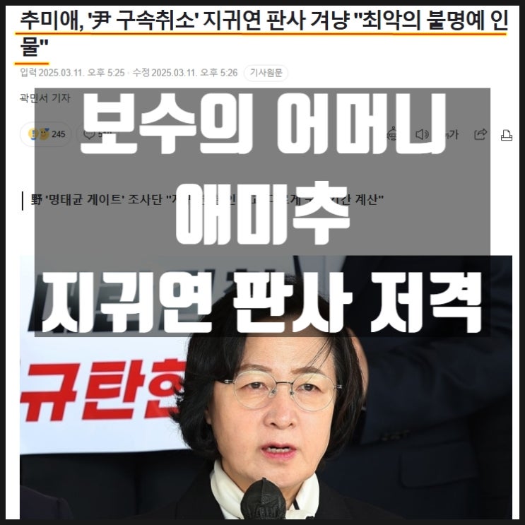 보수의 어머니 추미애 재판부 지귀연판사 저격 이재명 민주당 초긴장 보수의 어머니 추미애 재판부 지귀연판사 저격 이재명 민주당 초긴장