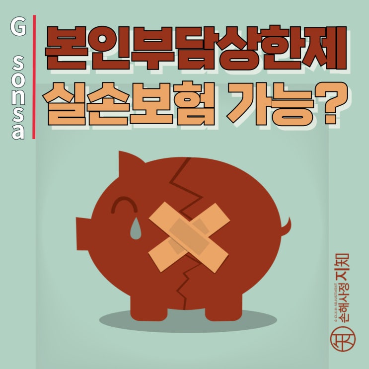  본인부담상한제 환급금, 실손보험에서 보상받을 수 없다는 대법원 판결 알고 계세요? - [금감원보도자료, BoDa]