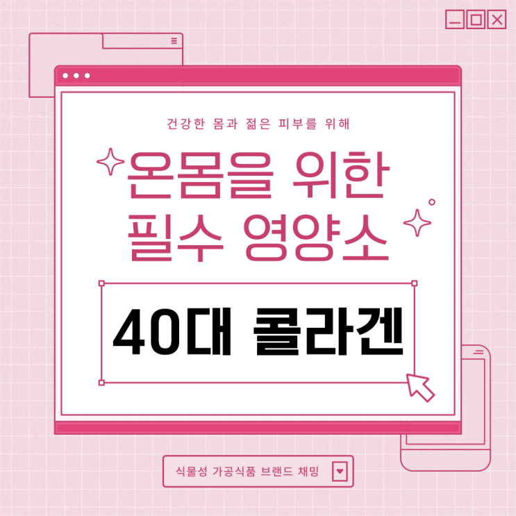  40대 콜라겐 온몸을 위한 필수 영양소 건강 관리법