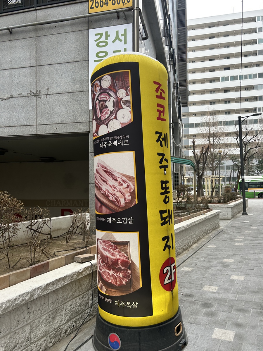 조코제주똥돼지 사진 3