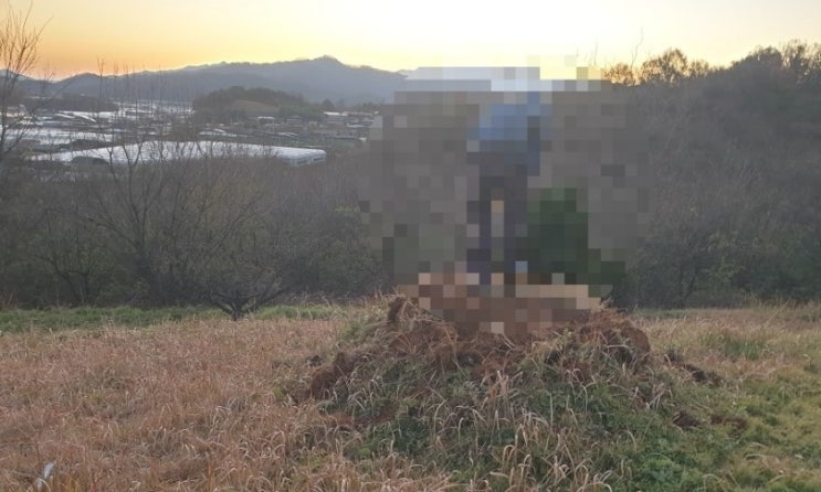  2025년 김천시 개령면 파묘3기 수목장 고인돌장의사 #손없는날 #윤달 #벌초 #이하늘장사 #장의사 #이장 #화장#김천장의사 #구미장의사 #선산장의사 #상주장의사 #성주장의사