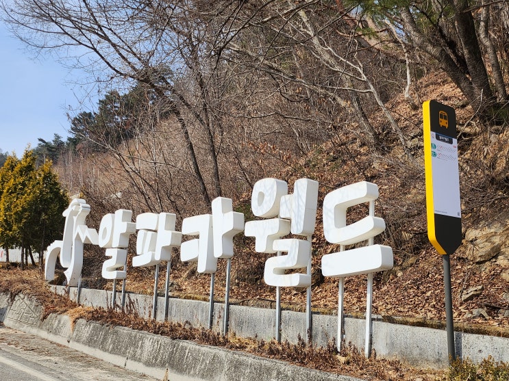  봄 국내여행지 알파카월드, 홍천여행 중 강원도 가볼만한 곳