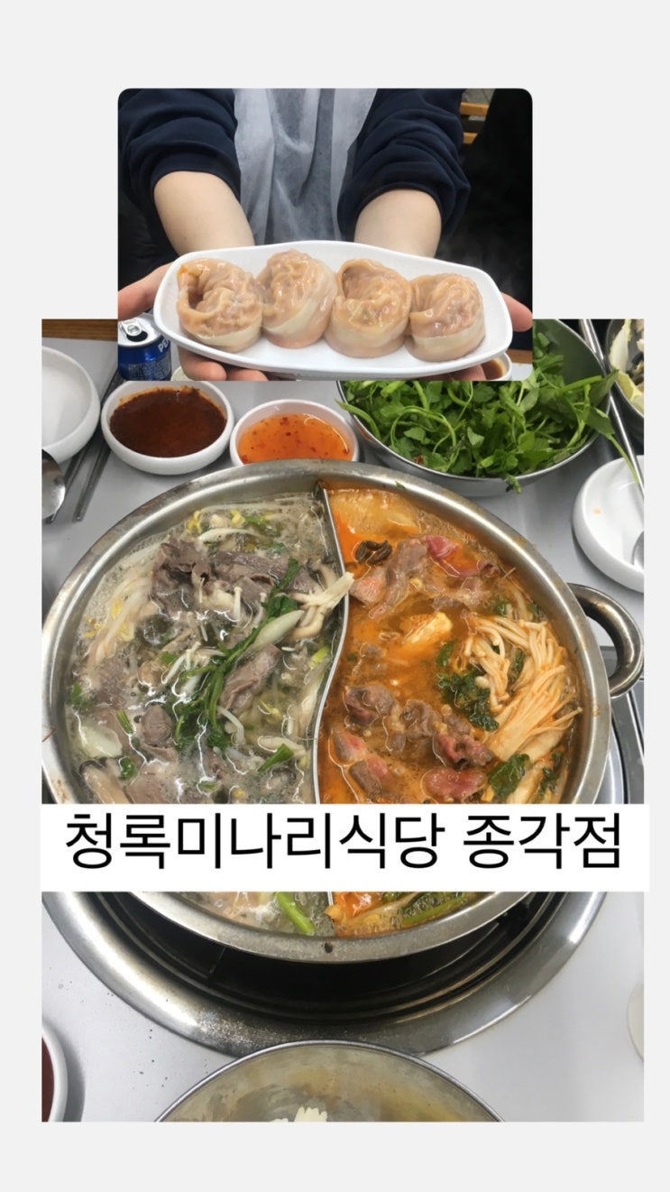  종각역회식 장소로 딱! 무한리필 샤브샤브 | 청록미나리식당 종각점