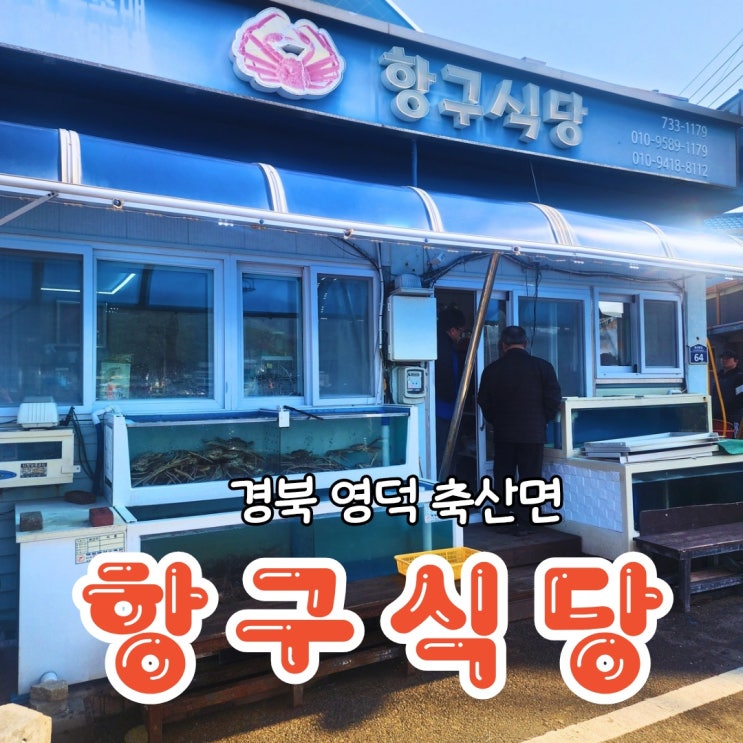  전현무계획 영덕 3만원 가성비 좋은 대게 맛집 항구식당