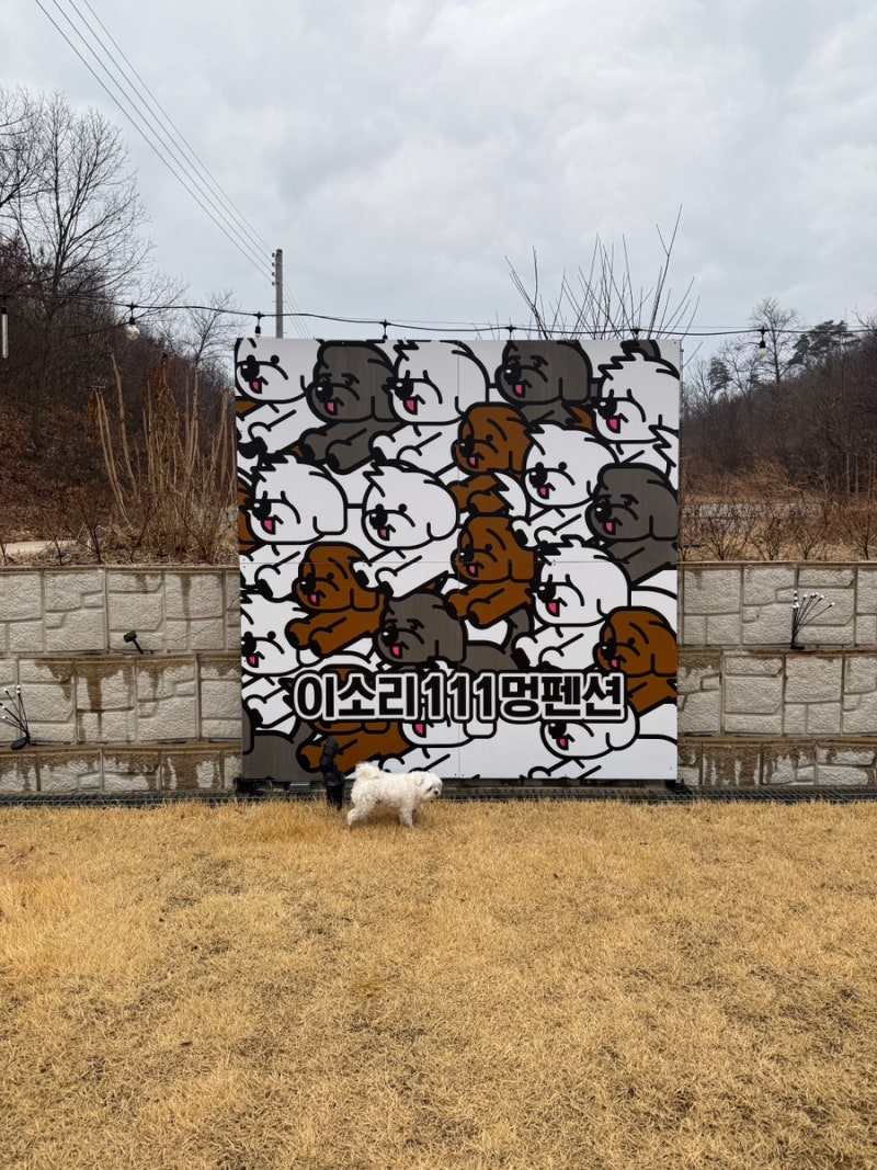 사진 5