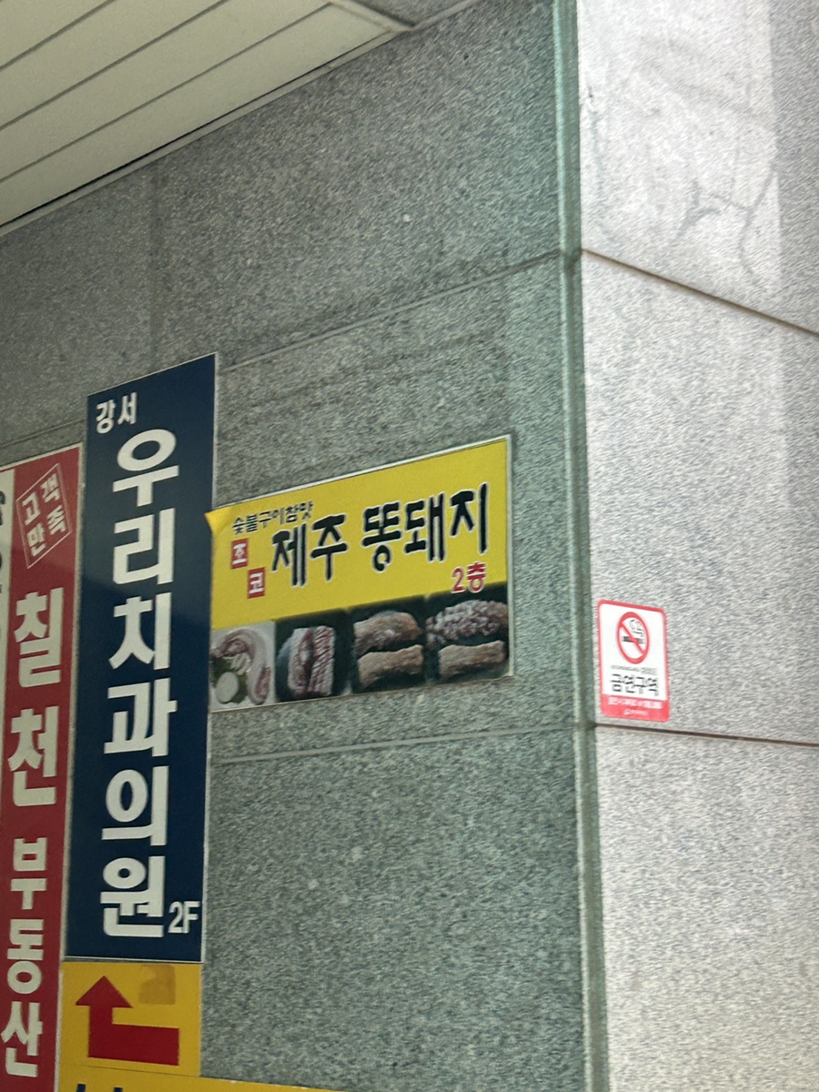 조코제주똥돼지 사진 4