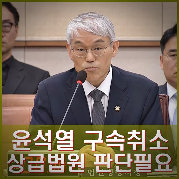 <b>천대엽</b> 검찰 윤석열 구속취소 <b>즉시항고</b> 상급법원 판단 필요... 