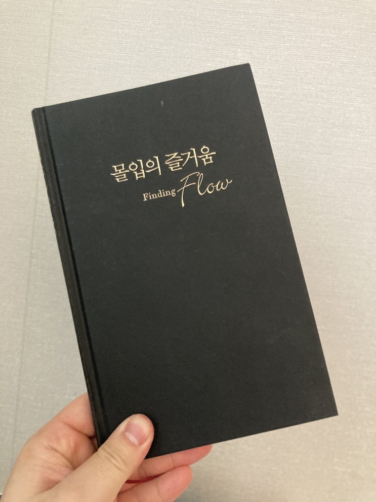  일, 여가를 모두 즐기는 핵심 개념 [몰입의 즐거움 / 자기목적성]