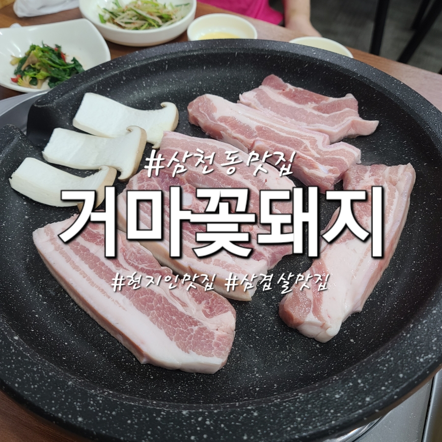 거마꽃돼지 사진 1
