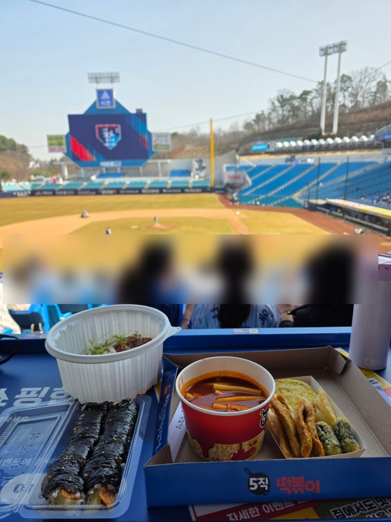 삼성라이온즈파크 3루 테이블석 3-2구역 시야 & 25년 전좌석 가격 feat. 오직떡볶이