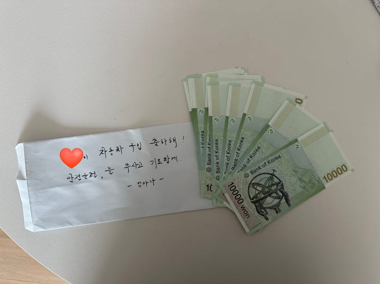  ev3출고기념 차량용품,영양제 다이소 쇼핑하기