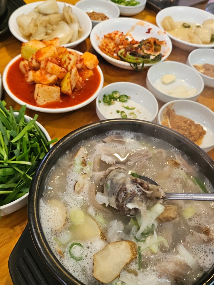  태기산더덕순대국 문래점 방문 후기 – 더덕과 순대국의 특별한 조합