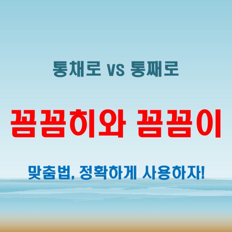  꼼꼼히 꼼꼼이 통채로 통째로 올바른 맞춤법은