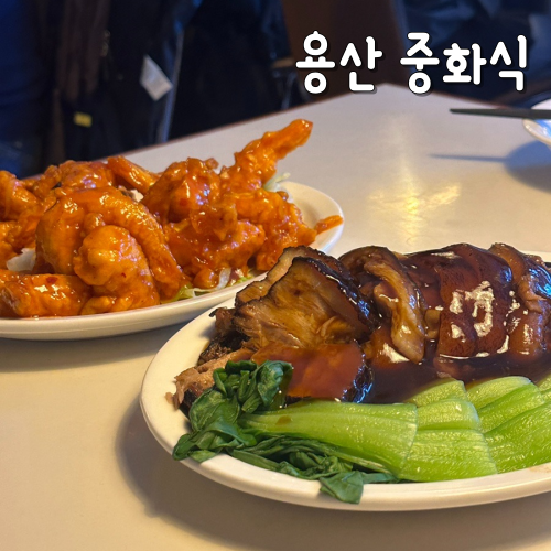  용산 중화식 삼각지야장으로 추천하는 대만식 중식주점