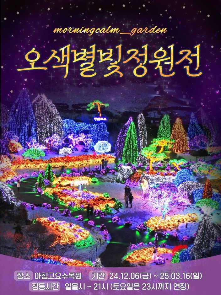   가평 오색별빛정원전  겨울밤, 빛의 정원에서 인생샷 찍기! 