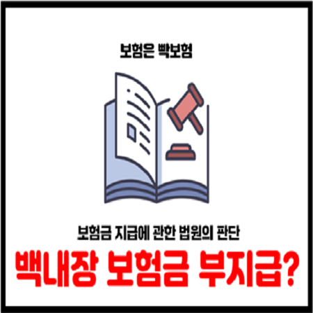  본인부담상한제 백내장 티눈 보험금 지급에 관한 대법원 판단