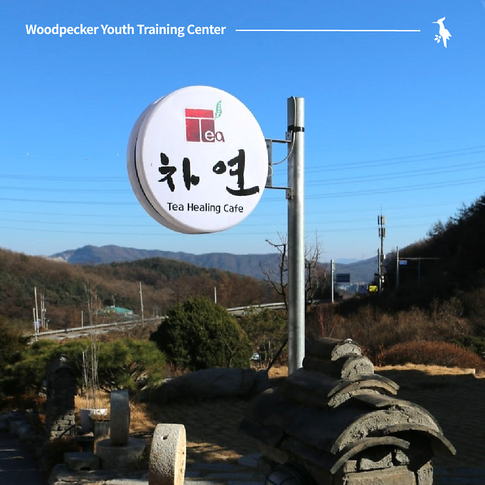 티 차연 사진 2