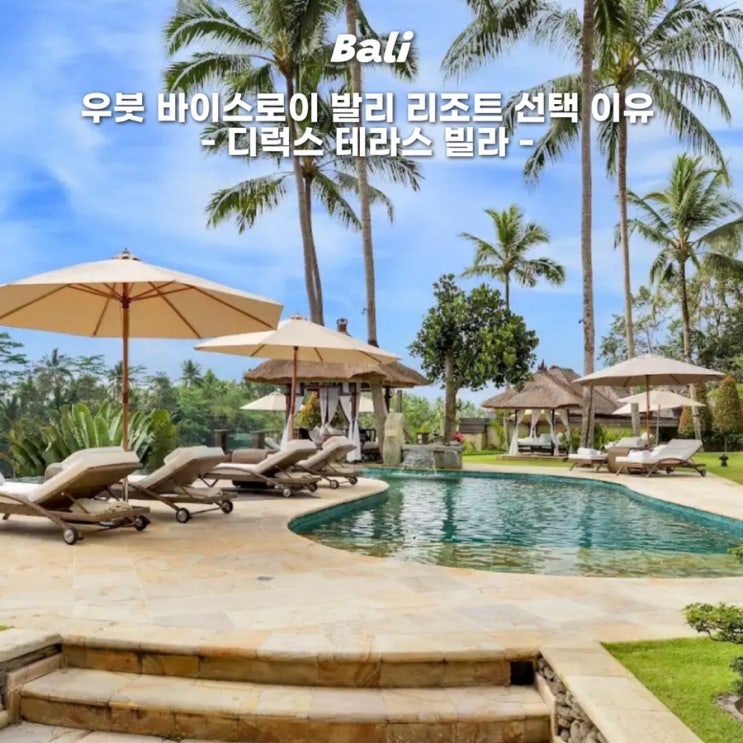  발리 우붓 숙소 바이스로이 발리 디럭스 테라스 빌라 선택이유