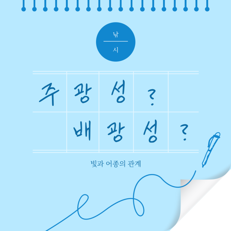  주광성? 배광성? 빛과 어종의 관계
