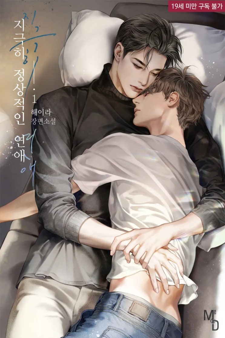 BL소설 리뷰) 해이라-지극히 정상적인 연애 BL소설 리뷰) 해이라-지극히 정상적인 연애